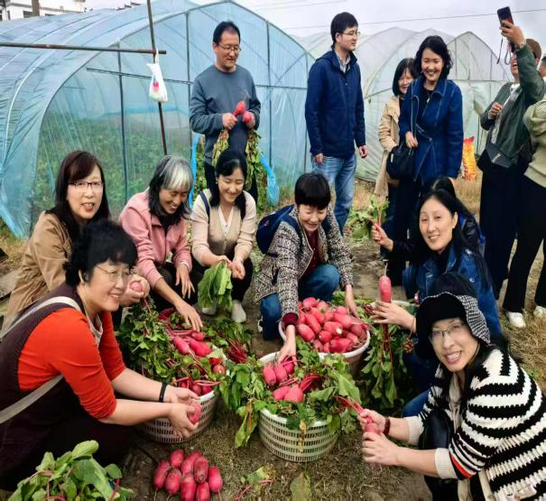 图片4_56566图片4