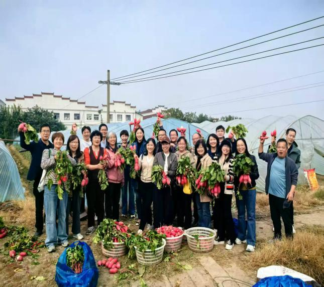 图片5_38293图片5